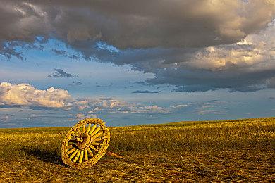 TGA 2024：《艾尔登法环：黑夜君临（Nightreign）》公布 2025年发售